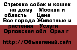 Стрижка собак и кошек на дому.  Москва и область.  › Цена ­ 1 200 - Все города Животные и растения » Услуги   . Орловская обл.,Орел г.